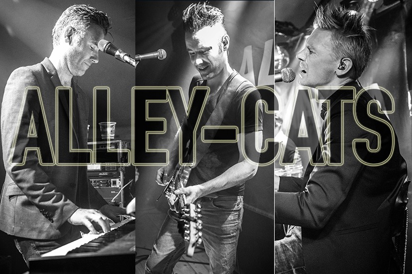 Alley Cats på esbjerg street food